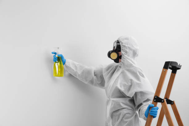 Why You Should Choose Our Mold Remediation Services in Oceanport, NJ